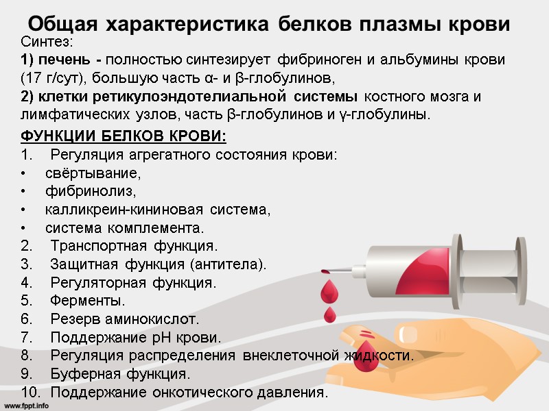 Общая характеристика белков плазмы крови Синтез: 1) печень - полностью синтезирует фибриноген и альбумины